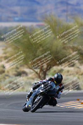 media/Apr-14-2024-SoCal Trackdays (Sun) [[70f97d3d4f]]/1-Turn 5 Tree of Life (920am)/